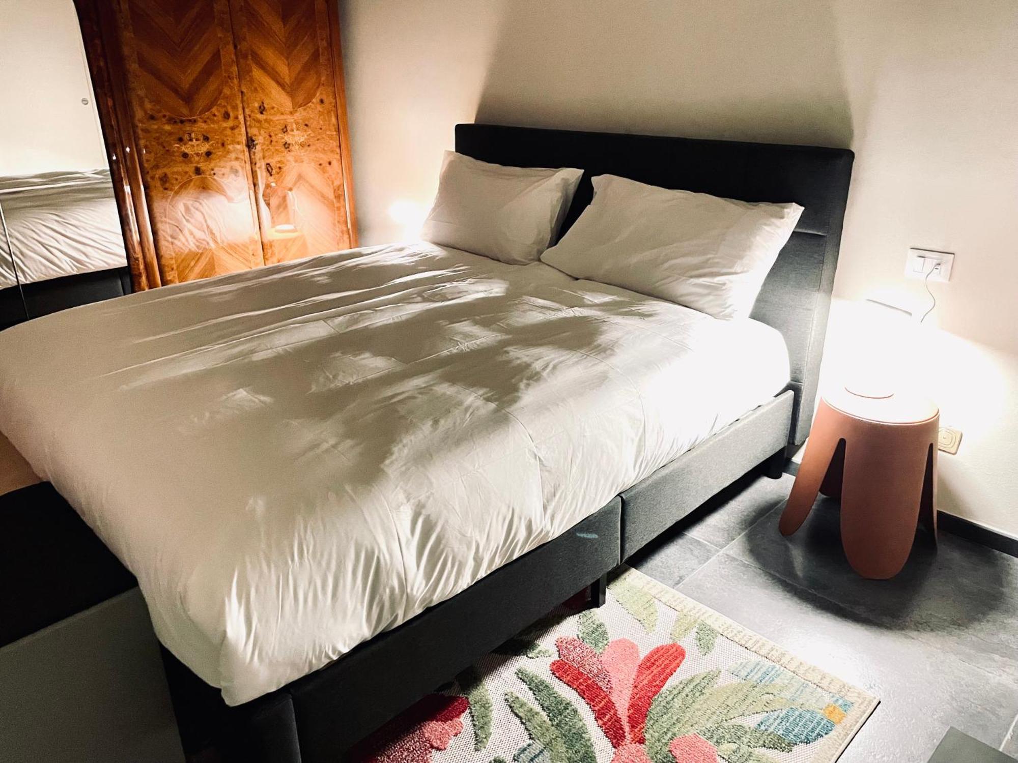 33 Borgo Ticino Lux Free Parking & Private Garden Leilighet Pavia Eksteriør bilde