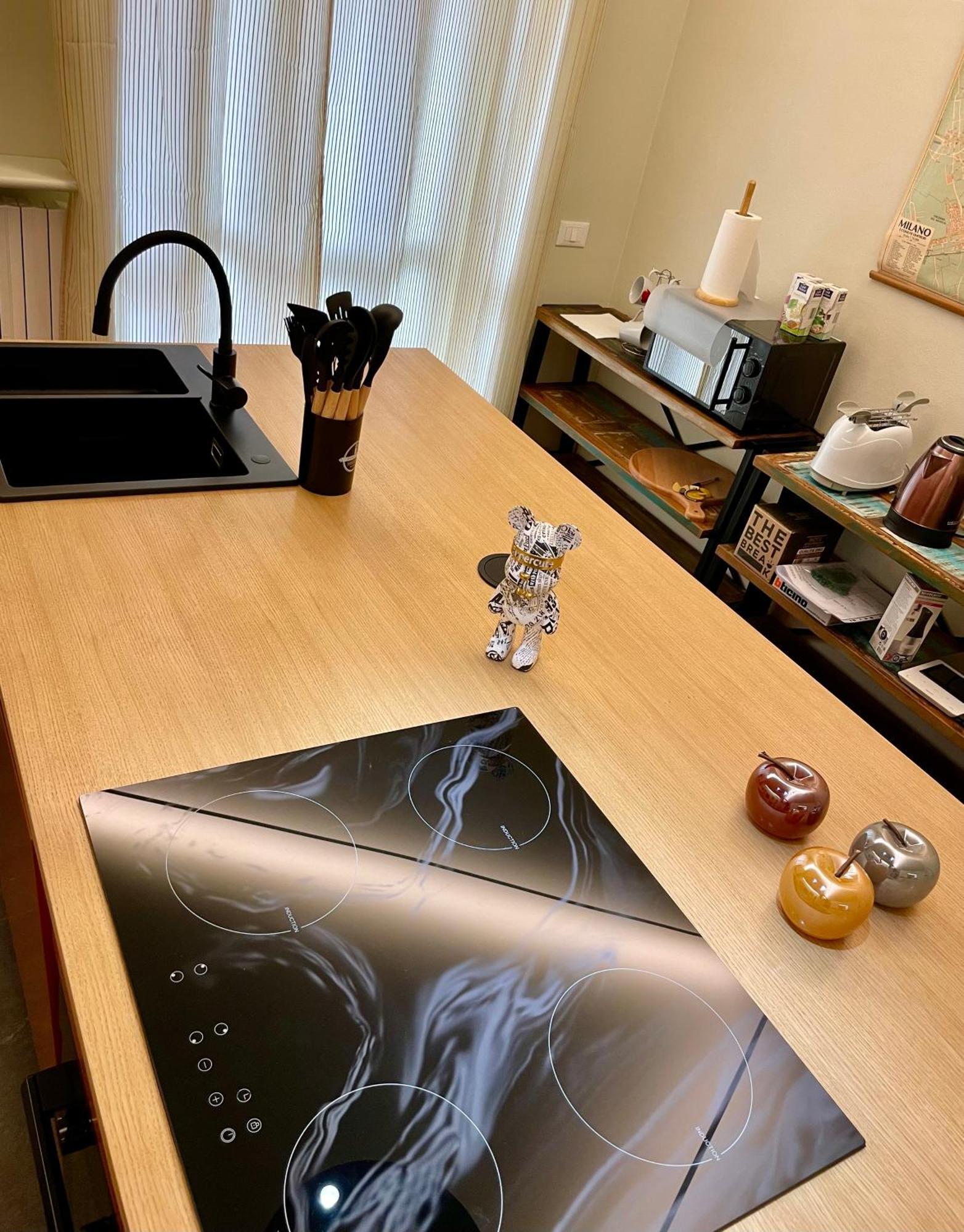 33 Borgo Ticino Lux Free Parking & Private Garden Leilighet Pavia Eksteriør bilde